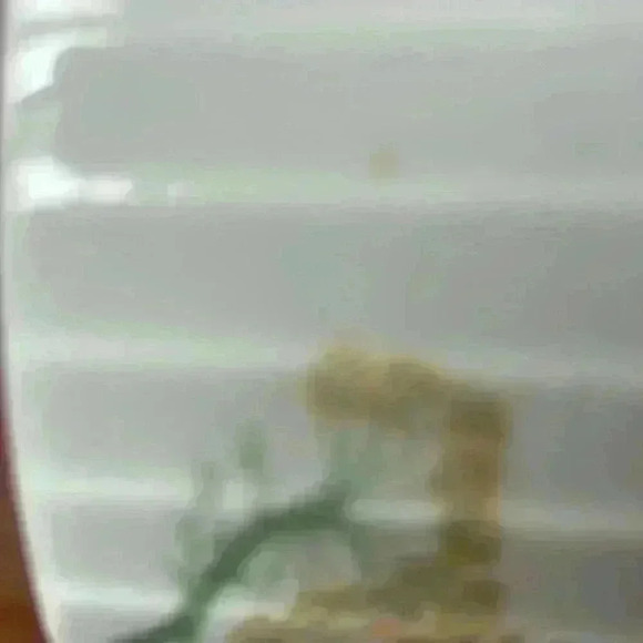 Stafford Herbs And Spices Porcelain Souffle Baking Dish Oven To Table Vintage 70 - Picture 3 of 5